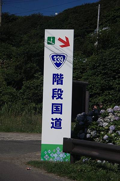 IMG_9020.jpg IMG_9020.jpg