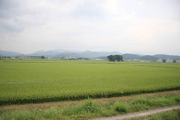 IMG_0921.jpg IMG_0921.jpg