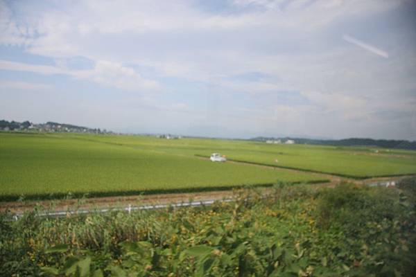 IMG_0884.jpg IMG_0884.jpg