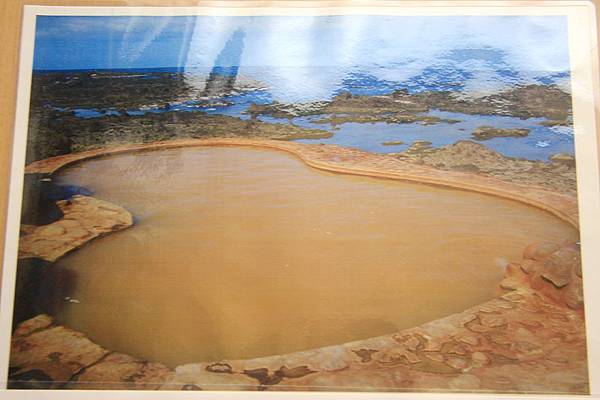 IMG_1142.jpg IMG_1142.jpg