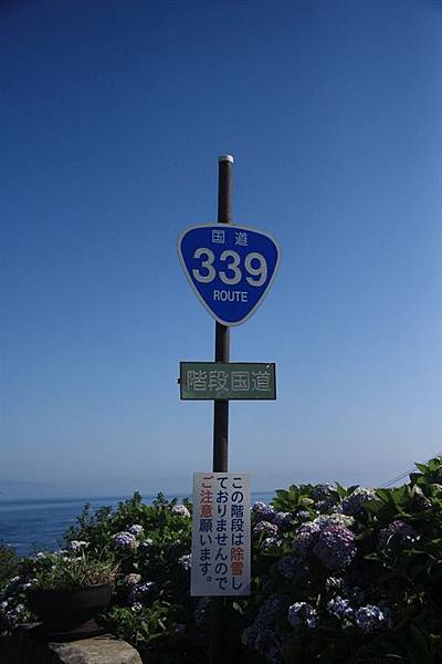 IMG_9024.jpg IMG_9024.jpg