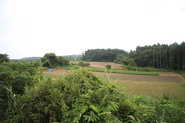 IMG_0894.jpg IMG_0894.jpg