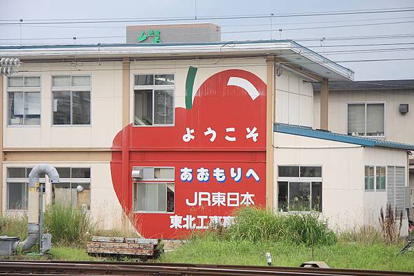 IMG_0925.jpg IMG_0925.jpg