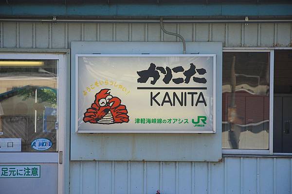 IMG_8987.jpg IMG_8987.jpg