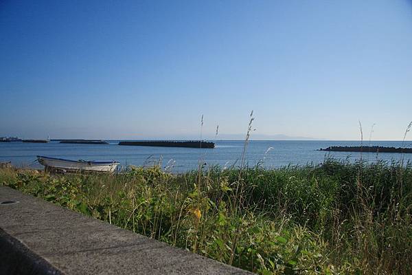 IMG_8982.jpg IMG_8982.jpg