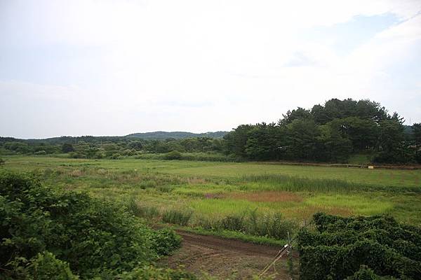 IMG_0897.jpg IMG_0897.jpg