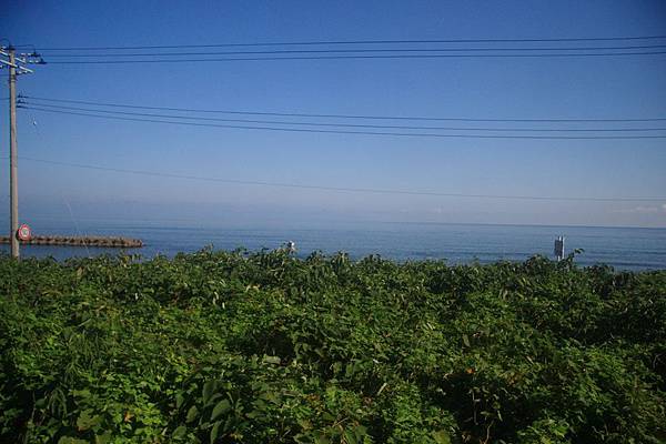 IMG_8992.jpg IMG_8992.jpg