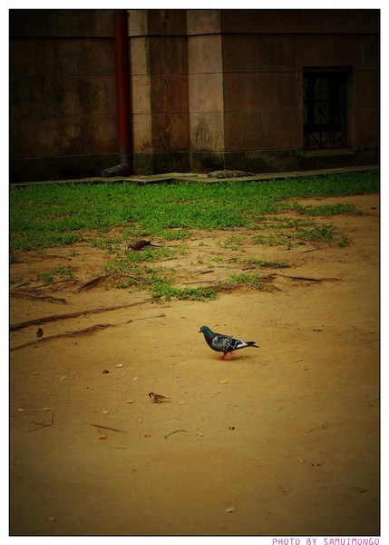 IMG_4837.jpg IMG_4837.jpg