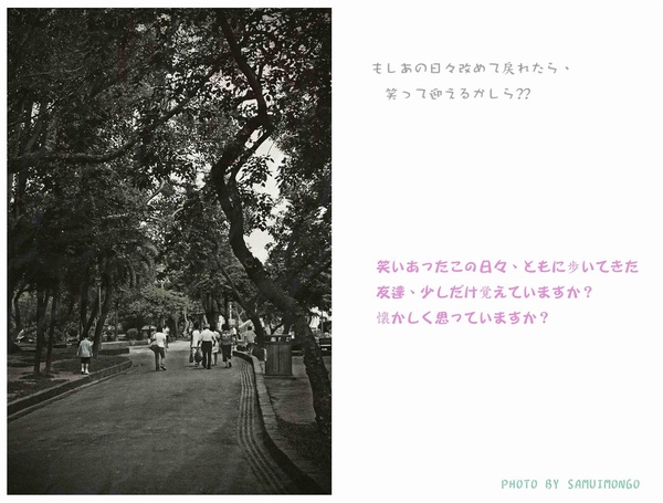 IMG_4835.jpg IMG_4835.jpg