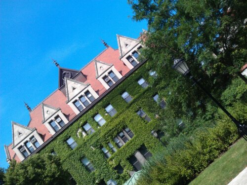 PHOTO_20130721_103010.jpg image