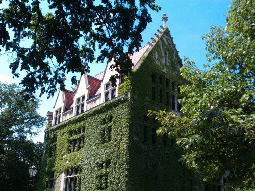 PHOTO_20130721_103603.jpg image