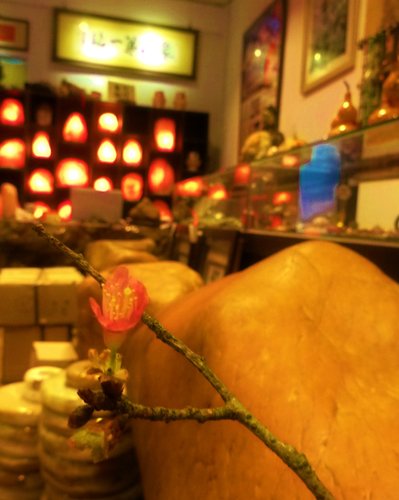 鹽燈的浪漫故事 春天搭著花轎來 象山第一站玫瑰鹽燈 鹽燈的浪漫故事 春天搭著花轎來 象山第一站玫瑰鹽燈