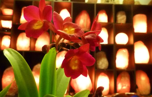 鹽燈祝福萬水姐姐 鹽燈祝福萬水姐姐