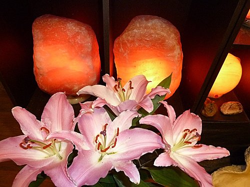 玫瑰鹽燈陳淑芬祝福捐腎孝女金友莊 玫瑰鹽燈陳淑芬祝福捐腎孝女金友莊