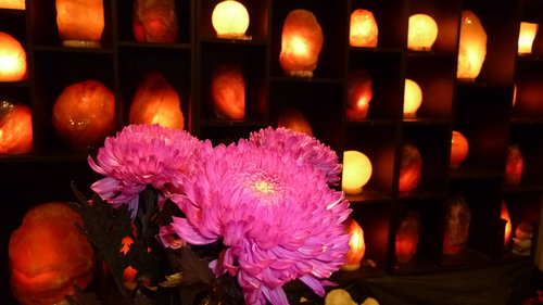 感恩節之牡丹菊與玫瑰鹽燈 花開富貴 感恩節之牡丹菊與玫瑰鹽燈 花開富貴