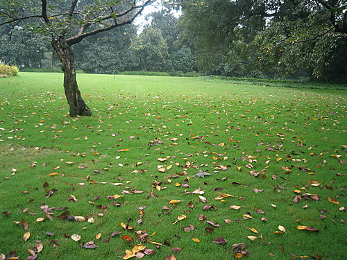 中國首善陳光標呼籲蓋茲和巴菲特裸捐 中國首善陳光標呼籲蓋茲和巴菲特裸捐