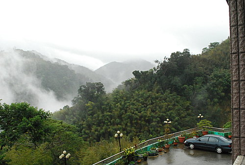 阿里山下瑞里 桃花開了 阿里山下瑞里 桃花開了