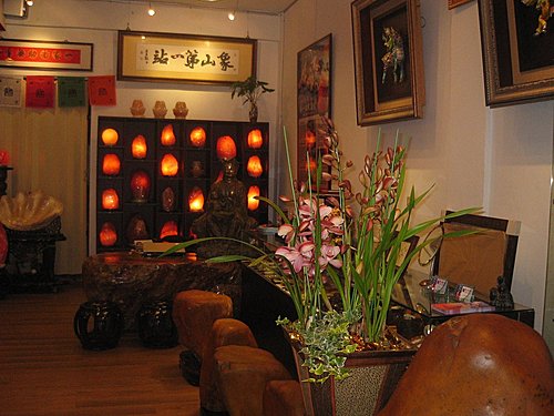 鹽燈與蘭花的故事 被騙的代價 鹽燈與蘭花的故事 被騙的代價