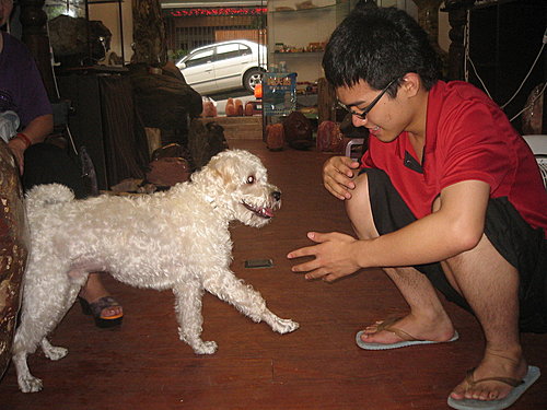 旺旺與張家睿 人狗情深 旺旺與張家睿 人狗情深