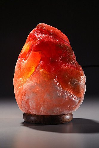 原諒是世上最珍貴的資產 原諒是世上最珍貴的資產