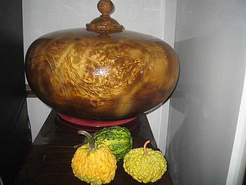 緬甸黃金香樟樹瘤 象山第一站寶物 緬甸黃金香樟樹瘤 象山第一站寶物