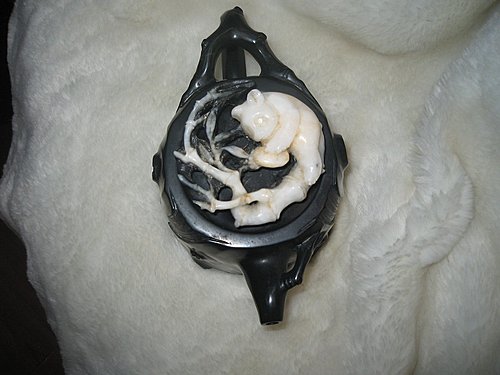 貓熊和熊貓是同一種動物 貓熊和熊貓是同一種動物