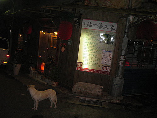 象山流浪狗妞妞 象山流浪狗妞妞