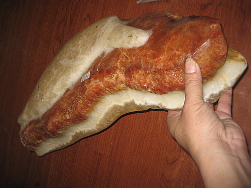 象山流浪狗妞妞與豬肉石 象山流浪狗妞妞與豬肉石