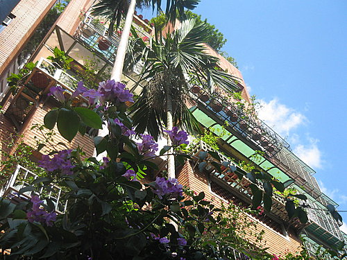 象山第一站玫瑰鹽燈專賣店 象山第一站玫瑰鹽燈專賣店