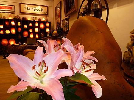 鹽燈專賣店 象山第一站 玫瑰鹽燈 鹽燈專賣店 象山第一站 玫瑰鹽燈