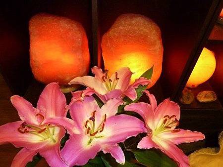 鹽燈如生命之花朵 喜馬拉雅山玫瑰鹽燈在象山第一站 綻放生命的光彩 鹽燈如生命之花朵 喜馬拉雅山玫瑰鹽燈在象山第一站 綻放生命的光彩