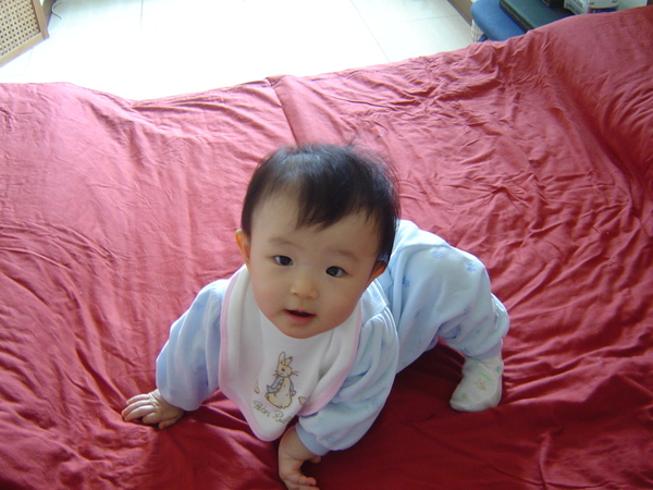 DSC04272.JPG DSC04272.JPG