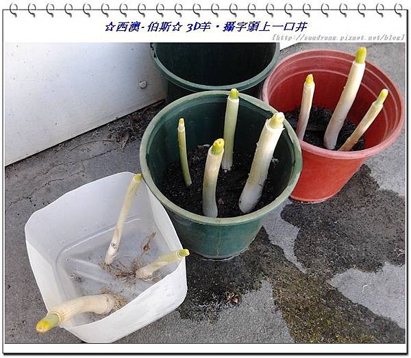 nEO_IMG_nEO_IMG_2013-12-13 14.51.25.jpg