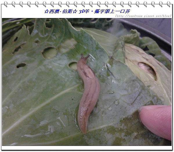 nEO_IMG_nEO_IMG_2013-12-15 10.36.48.jpg