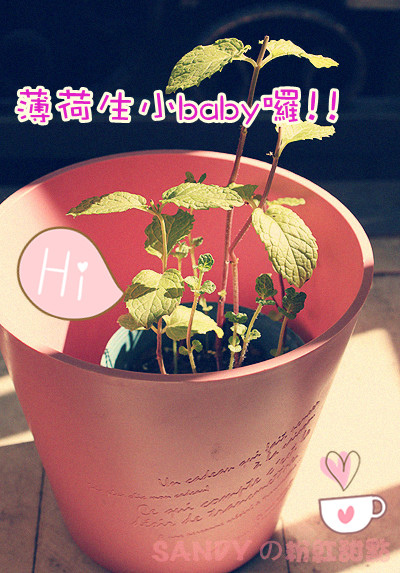 IMG_8126 1_副本.jpg