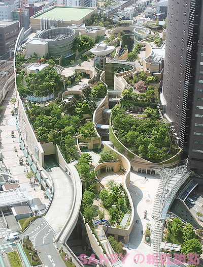 IMG_0801 5 IMG_0801 5