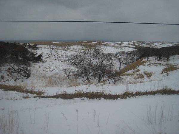 IMG_3736.JPG IMG_3736.JPG