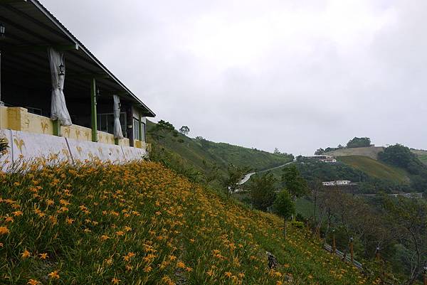 P1100417.JPG P1100417.JPG