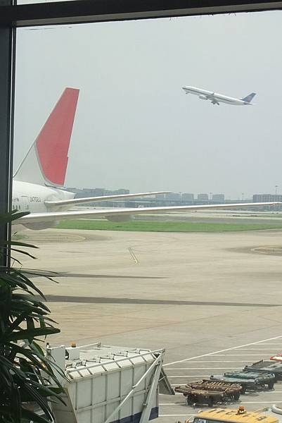 DSCF2246 DSCF2246
