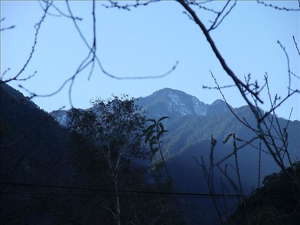 1215629935.jpg 1215629935.jpg