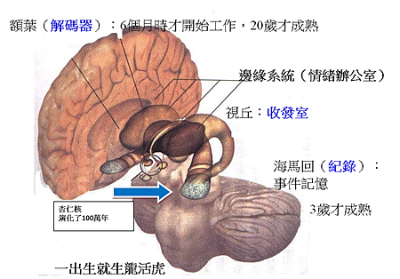 圖片1