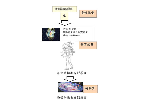 12感官