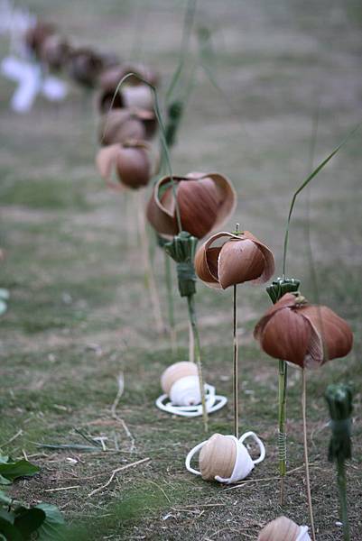 IMG_2638.JPG IMG_2638.JPG