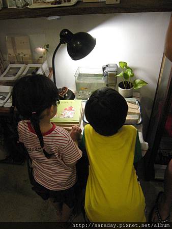 20120826橫條紋趴 (46) 20120826橫條紋趴 (46)