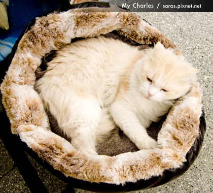 charles1218_005.jpg charles1218_005.jpg