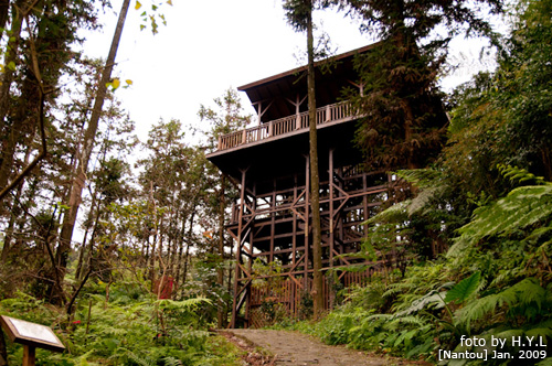 nantou_005.jpg nantou_005.jpg