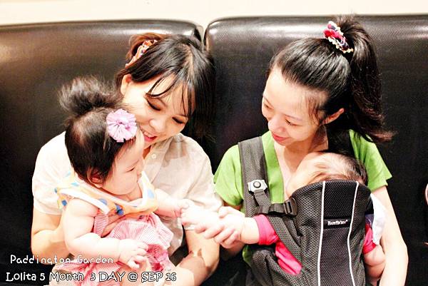 2012 9 16 柏林頓花園 Paddington Garden (38)