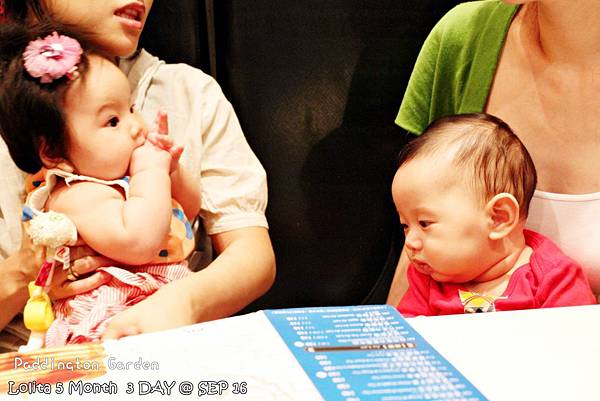 2012 9 16 柏林頓花園 Paddington Garden (61)