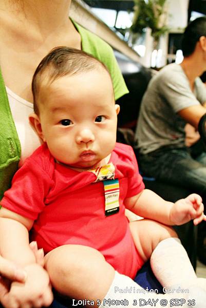 2012 9 16 柏林頓花園 Paddington Garden (80)