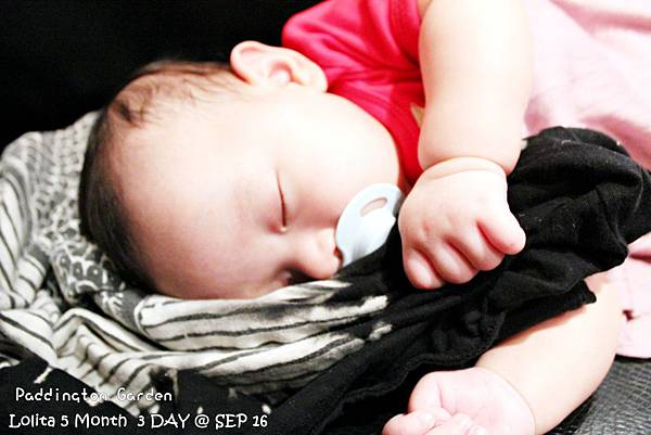 2012 9 16 柏林頓花園 Paddington Garden (105)